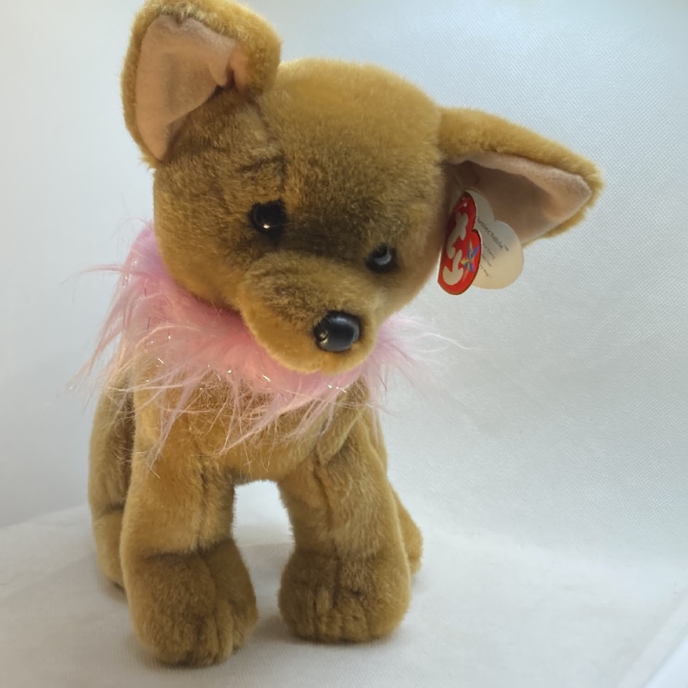 Ty Beanie Buddies “DIVALECTABLE” the Chihuahua 10” Tall